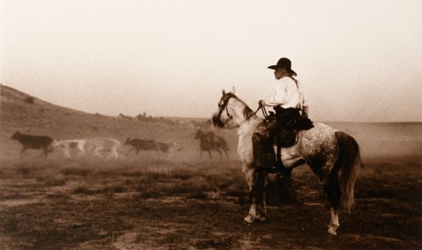 Lonesome Dove
