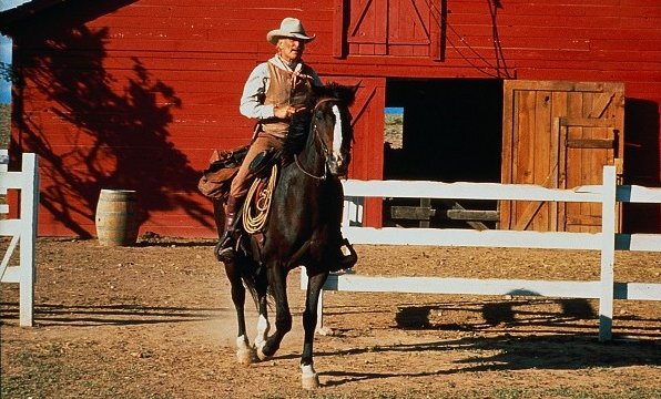 Lonesome Dove