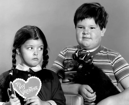 The Addams Family 1964