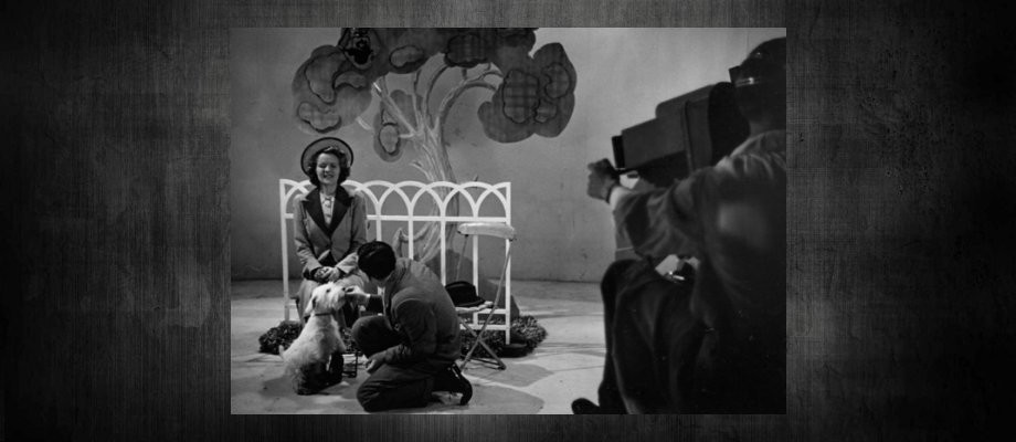 Ann and Harold TV series