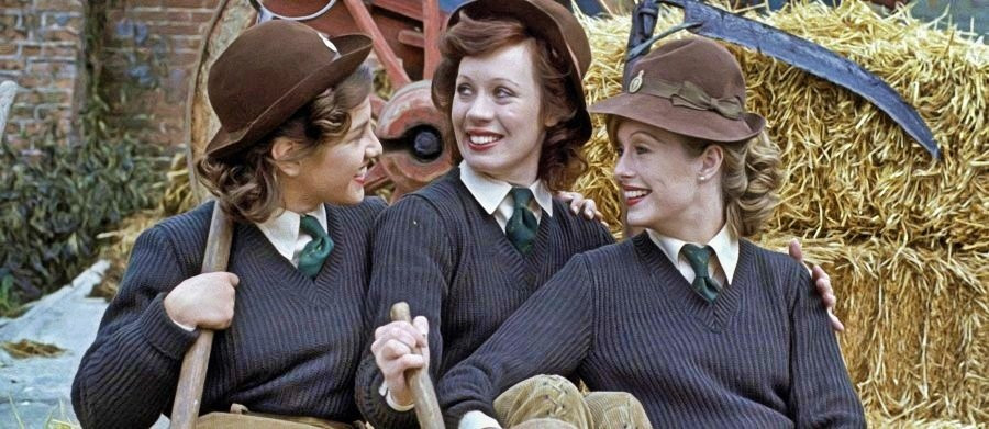 Backs to the Land tv series