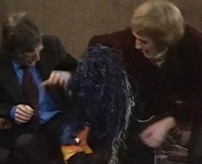 Emu attacks Parkinson