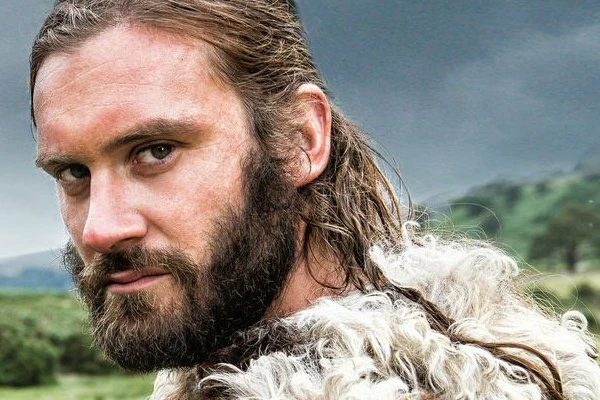 Vikings TV series 2013